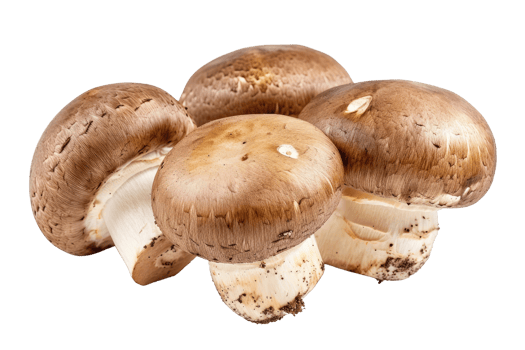 AI generated Brown champignon or portobello mushroom isolated transparent background png