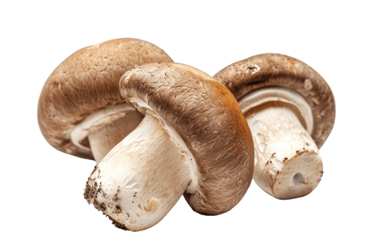 AI generated Brown champignon or portobello mushroom isolated transparent background png