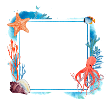 Square frame with tropical sea animals, fish, starfish, coral and octopus. Watercolor illustration with sea splashes and paint stains. For cards, posters, menus, beach and sea accessories. png