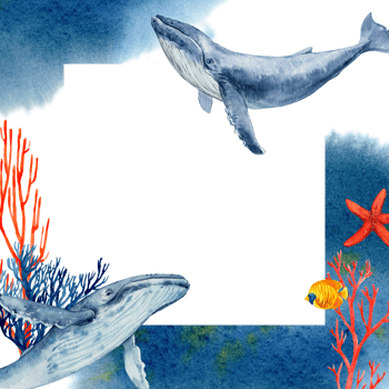 Square frame with tropical bright fish, corals and humpback whales. Watercolor illustration with sea splashes and paint stains. For cards, posters, menus, beach and sea accessories. png