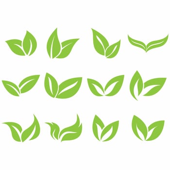 Collection of leaf logos vector
