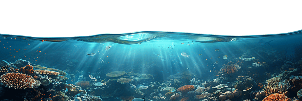 AI generated Half-water view with undulating surface and underwater world png