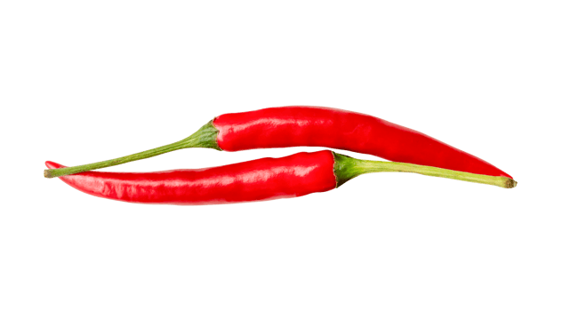 Top view of red chili peppers isolated with clipping path in png file format
