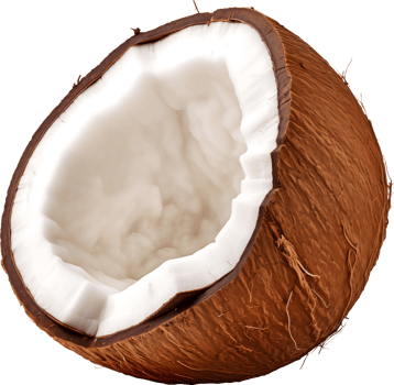 AI generated Half of coconut, Png transparent