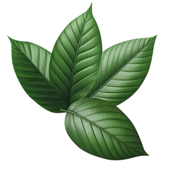 AI generated leaf green isolate PNG transparent