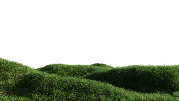 Meadow Green Grass Alpha png
