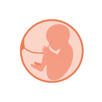 Baby in womb. Pregnancy and health of mother  and baby inside. Fetus symbol. Round logo. embryo and umbilical cord. Sign with text. Medical emblem for pregnancy center. png