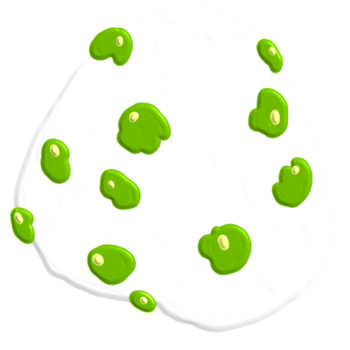 onigiri japanese food png