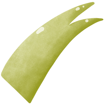 Green flag ribbon or aloe vera png