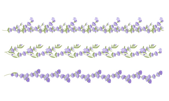 Set of decorative borders of lavender flowers for your design. illustration on white background. vector