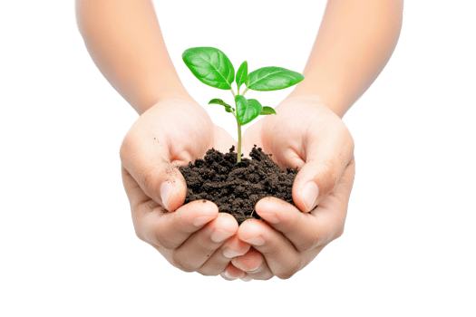 AI generated Hand holding young plant growing isolated transparent background png