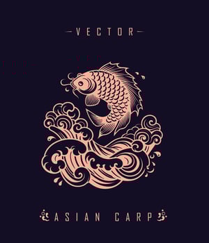 Chinese carp traditional art form vector