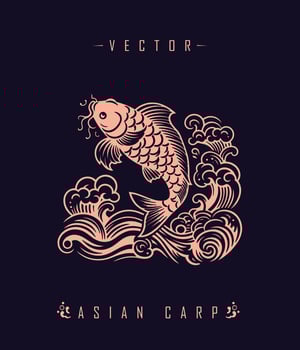 Chinese carp traditional art form vector