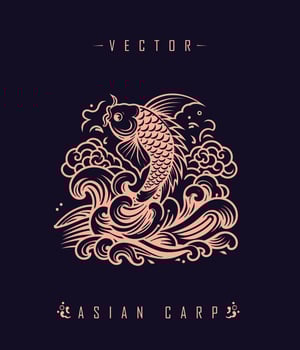 Chinese carp traditional art form vector