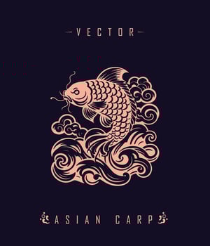 Chinese carp traditional art form vector