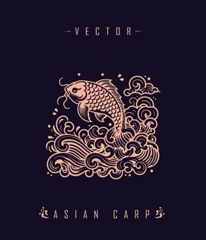 Chinese carp traditional art form vector