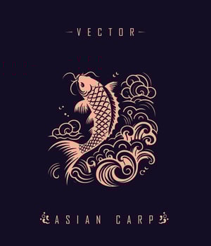 Chinese carp traditional art form vector