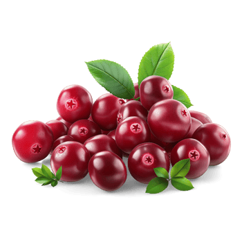 AI generated Cranberries pile with Cranberry leaves on the floor, Healthy organic berry natural ingredients concept, AI generated, PNG transparency with shadow