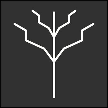 Tree with no leaves Vector Icon