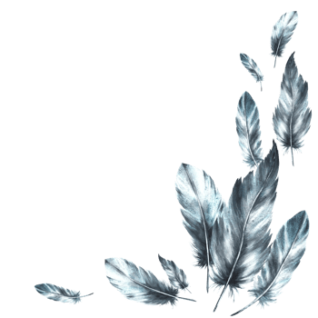 Watercolor monochrome frame. Bird gray black feathers with granulation of shades and natural ornaments. Real wings Hand drawn template illustration. Clipart for card print. e background png
