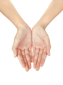 woman hands, transparent background png
