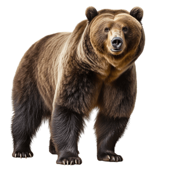 AI generated big brown bear png