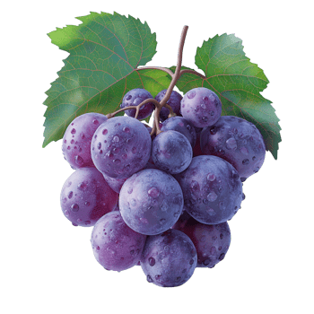 AI generated Ripe grapes bunch isolated on white background, Healthy organic juicy fruit and fresh natural ingredients, AI generated, PNG transparent