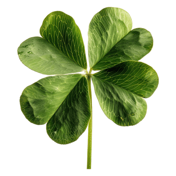 AI generated Four-leaf clover isolated on transparent background png