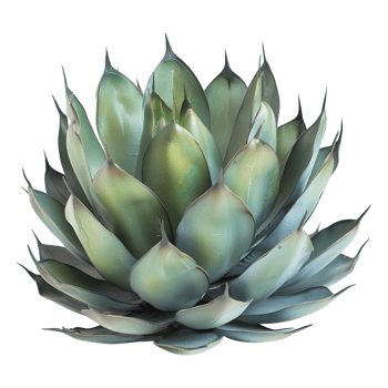 AI generated 3D Rendering of a Agave Montana on Transparent Background - Ai Generated png