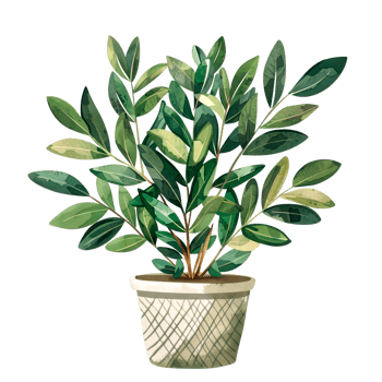 AI generated Isolated illustration of a ZZ plant png
