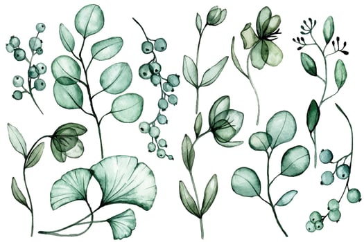 watercolor drawing. set of transparent eucalyptus and ginkgo leaves. x-ray vector