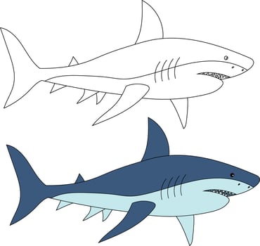 Shark Clipart Set. Colorful and Outline Sharks vector