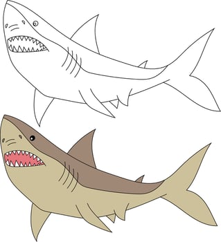 Shark Clipart Set. Colorful and Outline Sharks vector