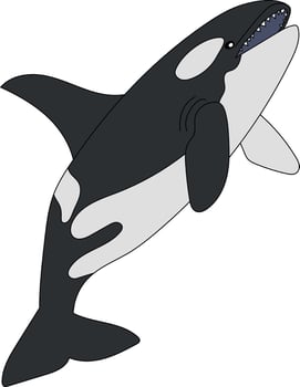 Colorful Whale Clipart for Lovers of Sea Animals vector