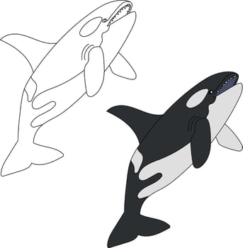 Whale Clipart Set. Colorful and Outline Whales Clipart vector