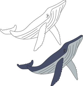 Whale Clipart Set. Colorful and Outline Whales Clipart vector