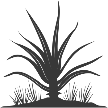 AI generated Silhouette Aloe vera tree in the ground black color only png