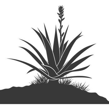 AI generated Silhouette Aloe vera tree in the ground black color only png