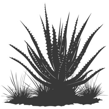 AI generated Silhouette Aloe vera tree in the ground black color only png