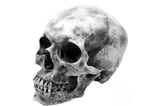 Black and White Human skull Birthday sweet cake with berries, macaron and floral decor isolated on transparent background With clipping path.3d rendering png