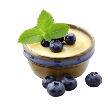 AI generated Bowl of tasty vanilla pudding with blueberry isolated on transparent background With clipping path.3d rendering png