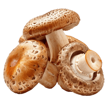 Brown cap champignons or agaricus mushrooms isolated on transparent background With clipping path. 3d render png
