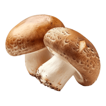 Brown cap champignons or agaricus mushrooms isolated on transparent background With clipping path. 3d render png