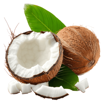 Coconut fruit with cut in half isolated on transparent background With clipping path.3d render png