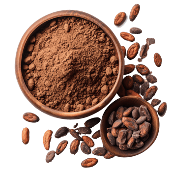 Cacao powder with beans isolated on transparent background With clipping path.3d render png