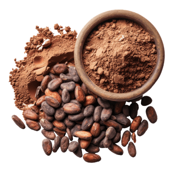 Cacao powder with beans isolated on transparent background With clipping path.3d render png