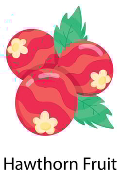 Exotic Fruits Flat Stickers vector