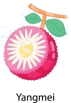 Exotic Fruits Flat Stickers vector