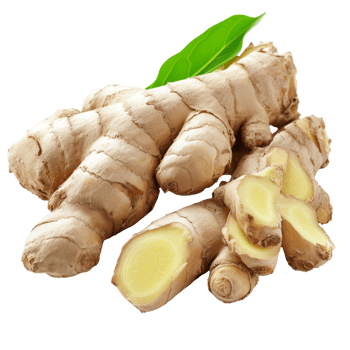 AI generated Fresh ginger root or ginger rhizome isolated on transparent background With clipping path. cut out png