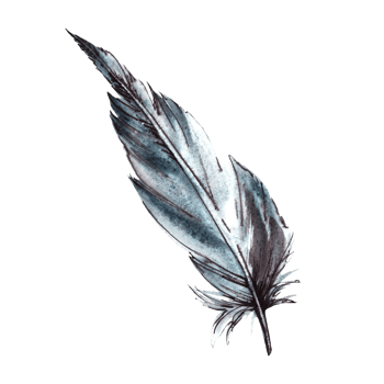 Watercolor set monochrome bird feather with splashes, brush stroke. Hand drawn illustration, clipart png